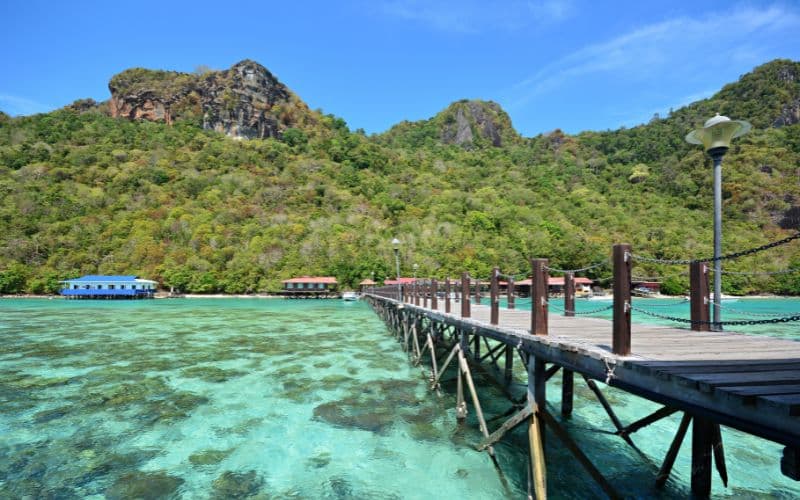 Special Holiday Packages